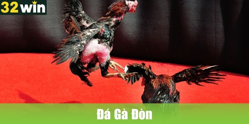 Đá Gà Đòn: Siêu Phẩm Đá Gà Cho Cược Thủ