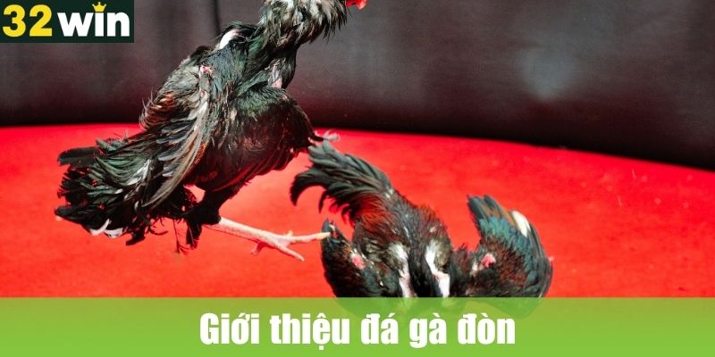 Giới thiệu đá gà đòn
