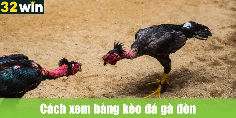 Cách xem bảng kèo đá gà đòn