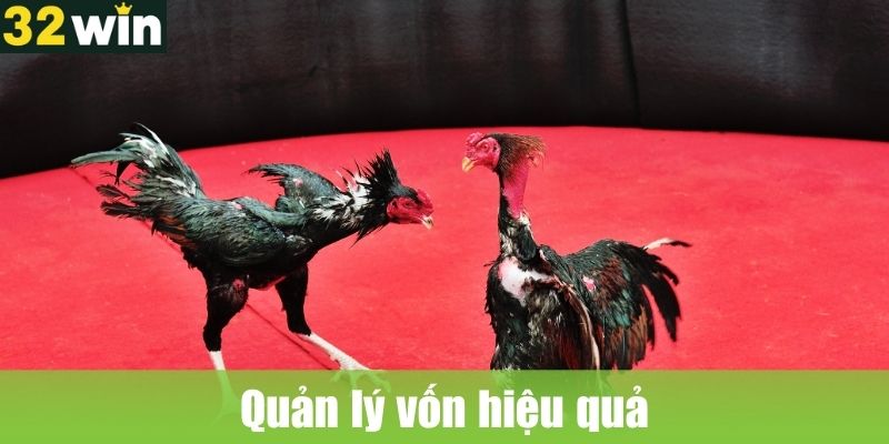 Quản lý vốn hiệu quả