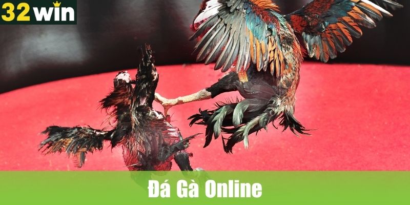 Đá Gà Online: Đặt Cược Đá Gà Với Tỷ Lệ Kèo Cao.