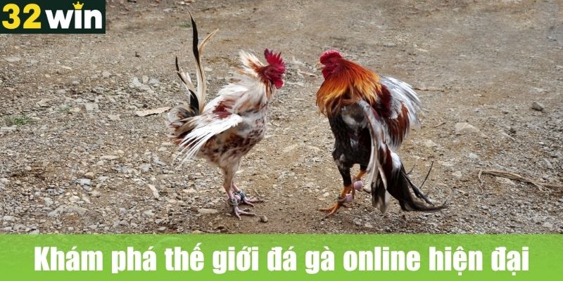 Khám phá thế giới đá gà online hiện đại
