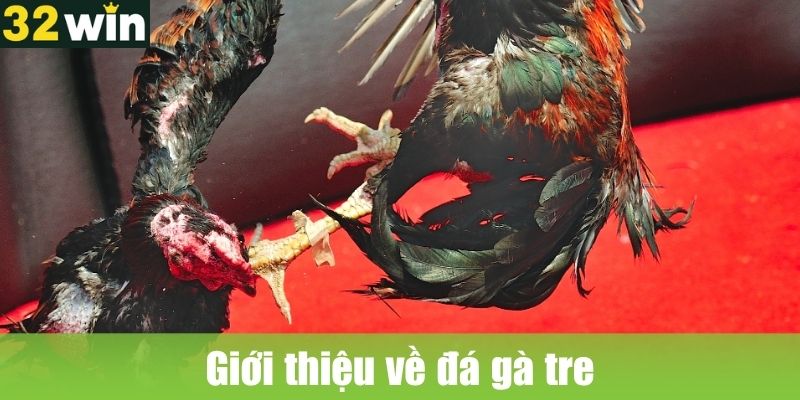 Giới thiệu về đá gà tre