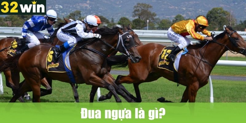 Đua ngựa là gì?